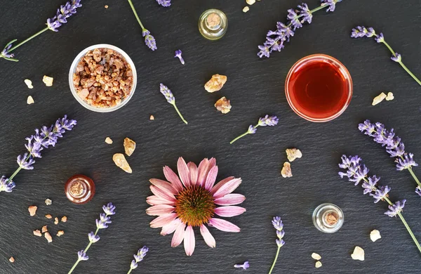 Garrafas Óleo Essencial Aromaterapia Com Incenso Lavanda Equinácea Outras Plantas — Fotografia de Stock