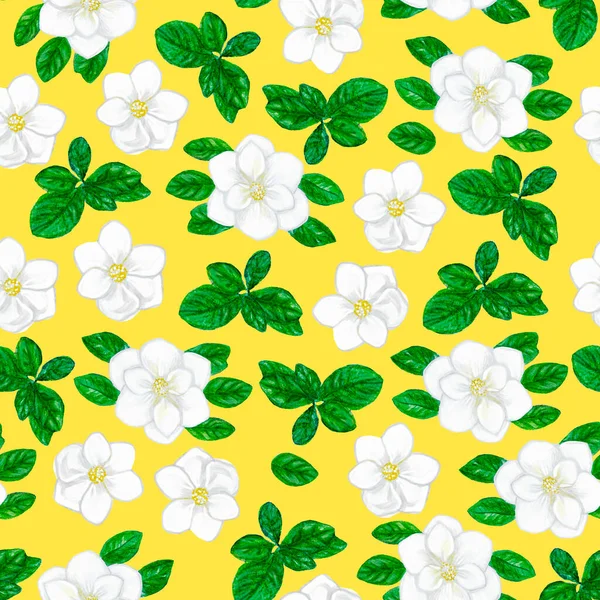 Aquarela magnólia flores e folhas padrão, magnólia branca, verde folhas fundo, amarelo florescer pano de fundo — Fotografia de Stock