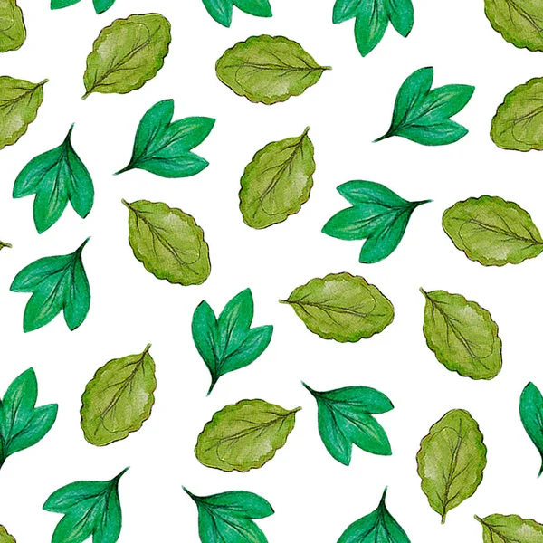 Watercolor hand drawn different leaves pattern, green leaves, domestic pattern, botanical, natural background — стоковое фото