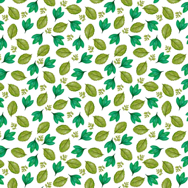 Watercolor hand drawn different leaves pattern, green leaves, domestic pattern, botanical, natural background — Stok fotoğraf