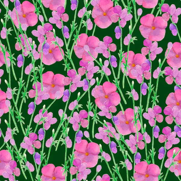 Aquarell handgezeichnete Wildblumenmuster, Peitschenblumen, botanischer Hintergrund, blühender Hintergrund, tiefgrün — Stockfoto