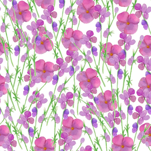 Aquarell handgezeichnete Wildblumenmuster, violette Blumen, botanischer Hintergrund, blühender Hintergrund, isolierte Blumen — Stockfoto