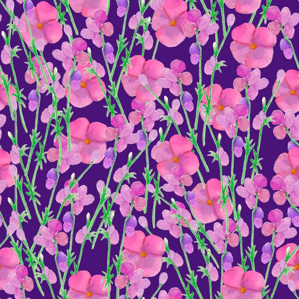 Aquarell Handgezeichnete Wildblumenmuster Violette Blumen Botanischer Hintergrund Blühender Hintergrund Tiefblau — Stockfoto