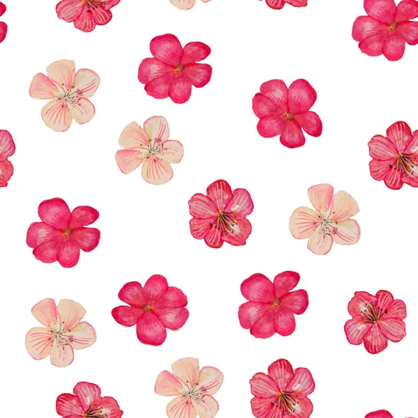 水彩画手绘简朴的花朵 繁茂的图案 不同的花朵 孤立的背景 植物背景 粉红色的花朵 高质量的插图水彩画手绘简单的花 — 图库照片