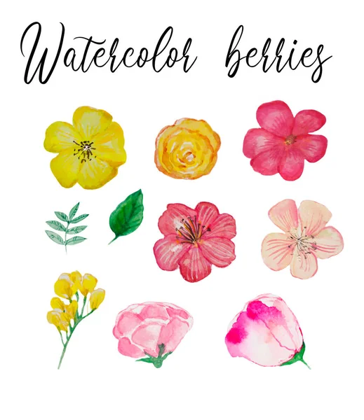 Watercolor hand drawn simple flowers elements, different wild flowers, isolated elements, botanical, pink flowers, green leaves, tropical, pink, fabric design