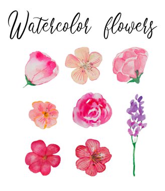 Suluboya el basit çiçek unsurları, farklı kır çiçekleri, yalıtılmış elementler, botanik, hafif pembe çiçekler, yeşil yapraklar, pembe, parlak elementler, kumaş tasarımı