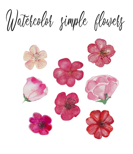 Watercolor hand drawn simple flowers elements, different wildflowers, isolated elements, botanical, mild pink flowers, pink, flourish elements, fabric design