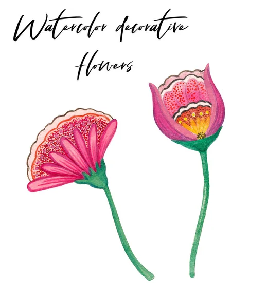 Watercolor hand drawn decorative flowers, decorative elements, flourish clip art, authentic flowers, isolated elements