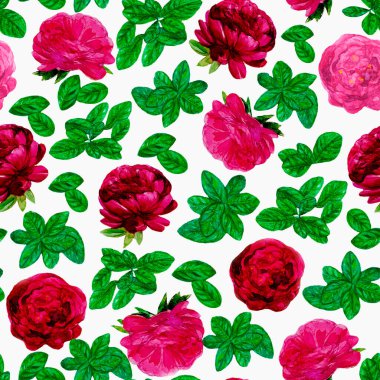 Watercolor bordo peonies with leaves pattern, white background, hand drawn fuchsia flowers and green leaves, seamless flourish pattern