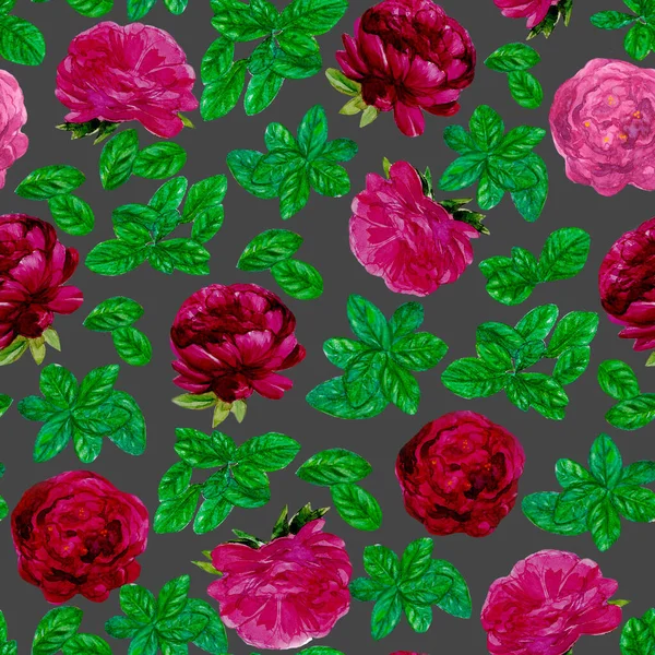 Watercolor bordo peonies with leaves pattern, white background, hand drawn fuchsia flowers and green leaves, seamless flourish pattern