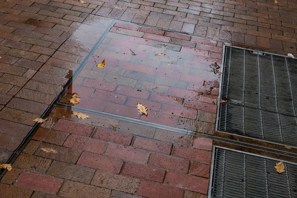 Light Reflecting Puddles Wet Red Brick Sidewalk Metal Grates Autumn — Stock Photo, Image