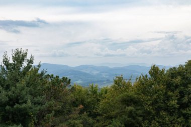 Kuzey Carolina 'nın Blue Ridge Dağları' nın puslu manzarası. Koyu yeşil bir ağaç hattının ötesinde görünüyor. Gökyüzü bulutlu.