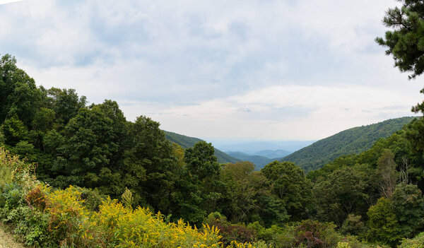 Scenic panorama down a valley with distant mountain range, overcast sky, tree line and goldenrod foreground, horizontal aspect
