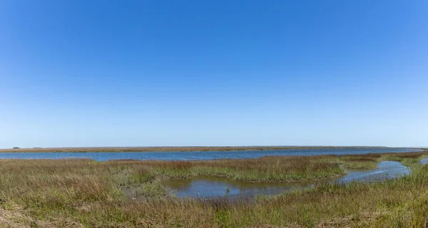 Wide Panorama Salt Marsh South Carolina Coast Clear Blue Sky — Stock Photo, Image