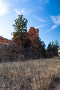 Kayaların parlak güneşli manzarası ve çimenli ovanın ötesindeki yeşil ağaç, Tanrıların Bahçesi Colorado Springs, dikey görünüm