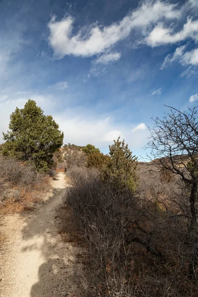 Light Colored Dirt Path Winding Winter Landscape American West Vertical — Stockfoto