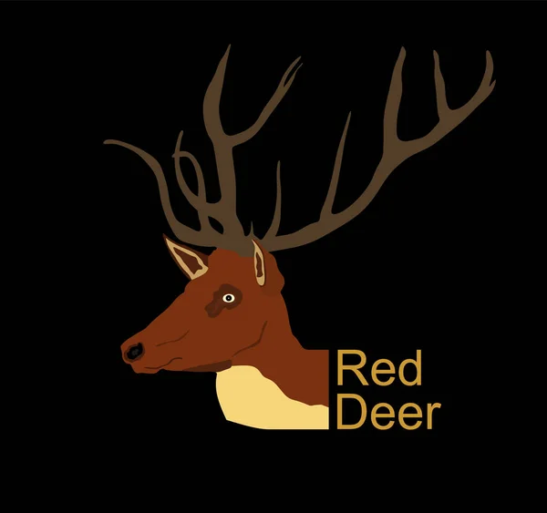 Red Deer Head Vector Illustration Isolated Black Background Reindeer Symbol — Wektor stockowy