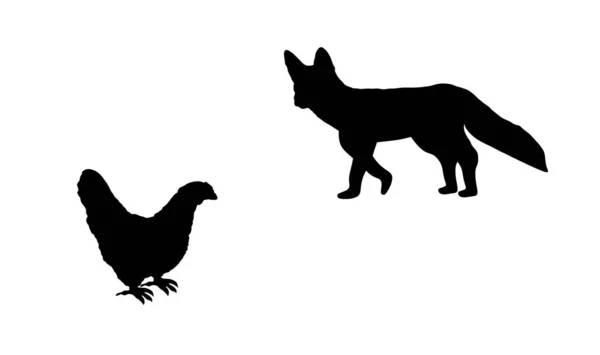 Renard Rusé Cache Une Silhouette Vectorielle Poule Isolée Sur Fond — Image vectorielle