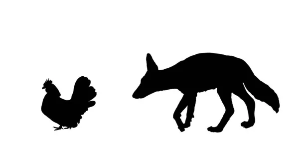 Coyote Astuto Acecha Una Ilustración Silueta Vector Gallina Aislada Blanco — Vector de stock