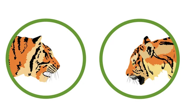 Tiger Huvud Vektor Illustration Isolerad Vit Bakgrund Stor Vild Katt — Stock vektor