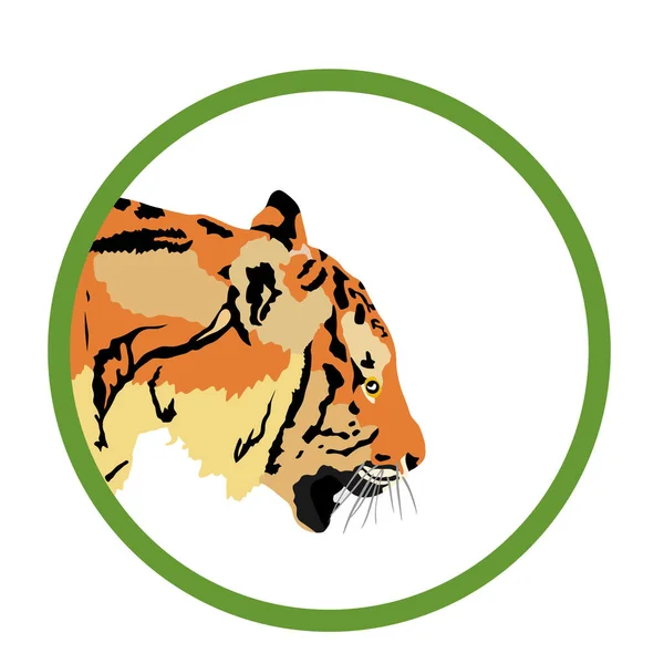 Tiger Huvud Vektor Illustration Isolerad Vit Bakgrund Stor Vild Katt — Stock vektor