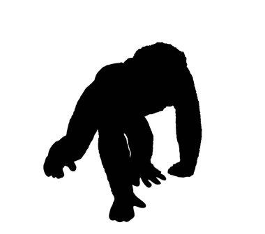 Beyaz arka planda izole edilmiş şempanze maymun vektör silüeti çizimi. Maymun sembolü.