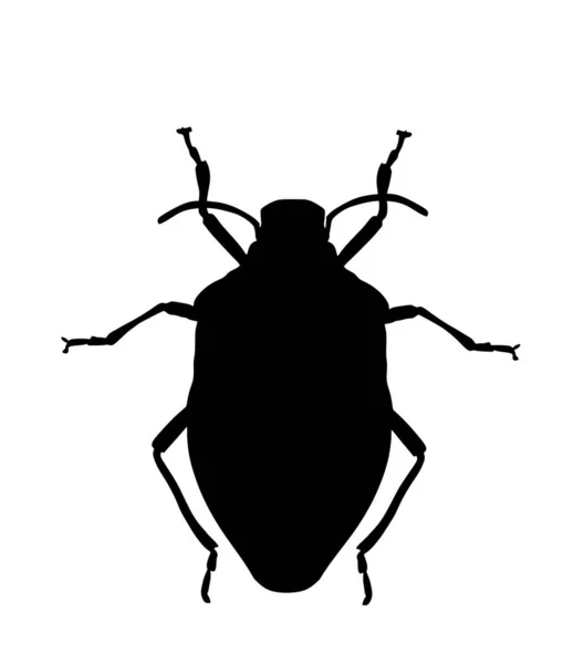 Βρωμερό Bug Διάνυσμα Σιλουέτα Εικόνα Απομονωμένη Λευκό Φόντο Σκαθάρι Ασπίδας — Διανυσματικό Αρχείο