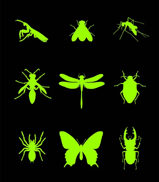 一组在黑色上孤立的昆虫矢量轮廓图解 祈祷螳螂 花环轴或蜜蜂的象征 臭虫甲虫 塔兰图拉蜘蛛蝴蝶 猪甲虫 — 图库矢量图片
