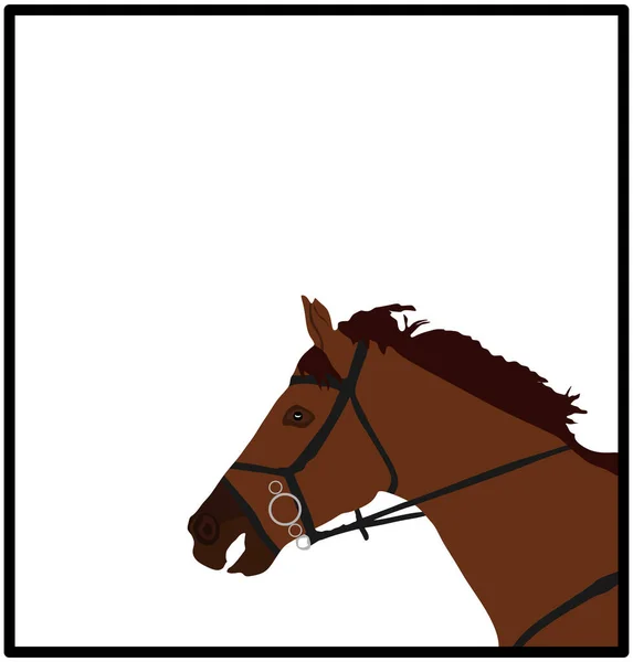 白の背景に隔離されたエレガントな競馬頭の肖像ベクトルイラスト ヒッポドロームスポーツイベント バリアショーを飛び越えるための乗馬馬 美しい農場動物の頭 — ストックベクタ