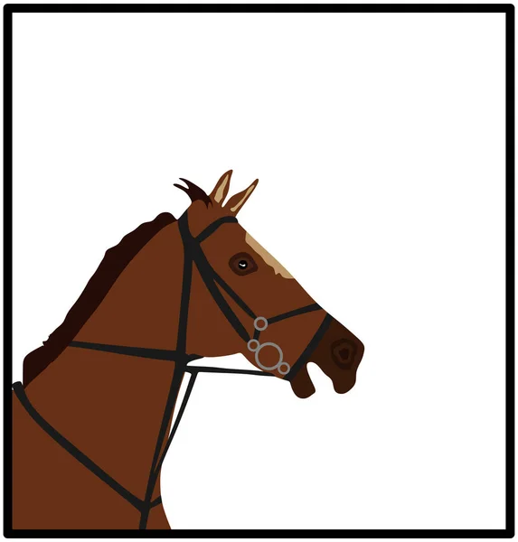 白の背景に隔離されたエレガントな競馬頭の肖像ベクトルイラスト ヒッポドロームスポーツイベント バリアショーを飛び越えるための乗馬馬 美しい農場動物の頭 — ストックベクタ