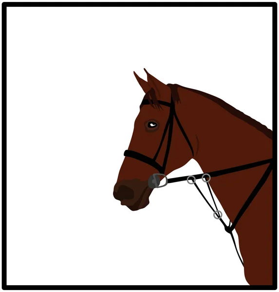 Elegante Caballo Carreras Cabeza Retrato Vector Ilustración Aislada Sobre Fondo — Vector de stock