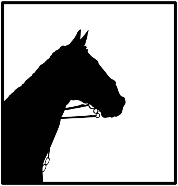 Elegant Racing Horse Head Portrait Vector Silhouette Illustration Isolated White — стоковый вектор