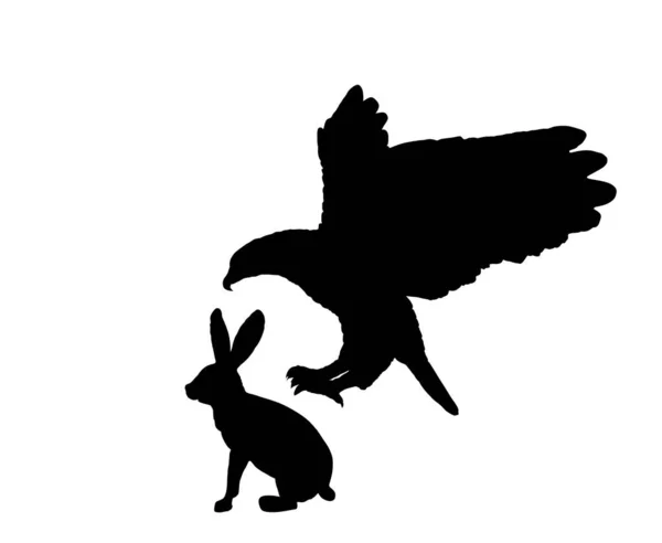 Pygargue Tête Blanche Volant Attaquant Illustration Silhouette Vectorielle Lapin Isolé — Image vectorielle