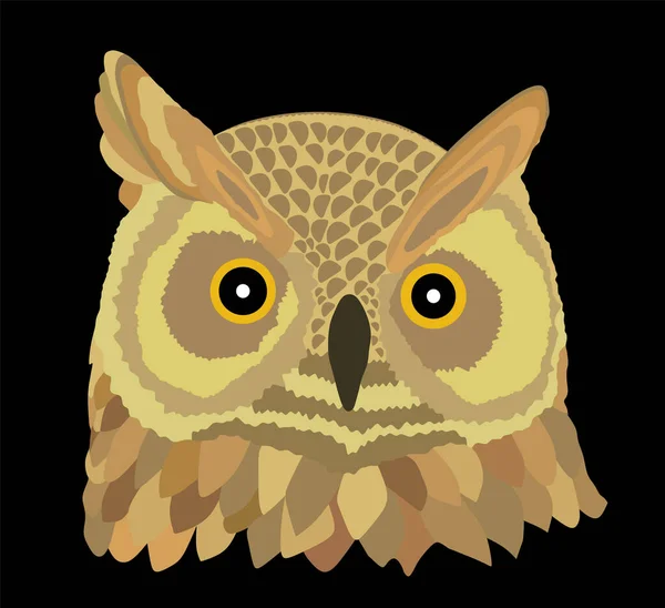 Owl Head Vector Illustration Isolated Black Background Night Bird Hunter — Stock Vector