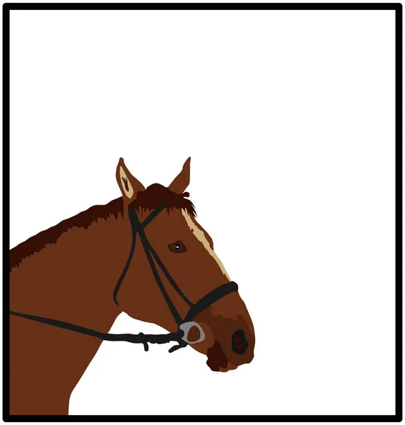 Elegant Racing Horse Head Portrait Vector Illustration Isolated White Background — Stock Vector