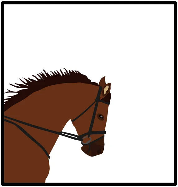 Elegante Cavalo Corrida Cabeça Retrato Vetor Ilustração Isolada Fundo Branco —  Vetores de Stock