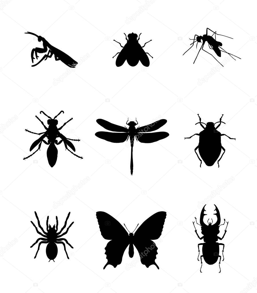 Set of insect vector silhouette illustration isolated on whiye. Praying mantis. Housefly. Mosquito. Wasp axis or honey bee symbol. Dragonfly. Stink bug beetle. Tarantula spider. Butterfly. Stag beetle