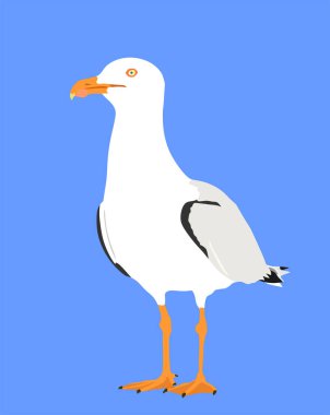 Mavi arka planda izole edilmiş martı vektör silüeti. Deniz ve okyanus kuşu. Deniz kuşu şekli sembolü. Balık avcısı. Martı turist seyahat hatırası maskotu.