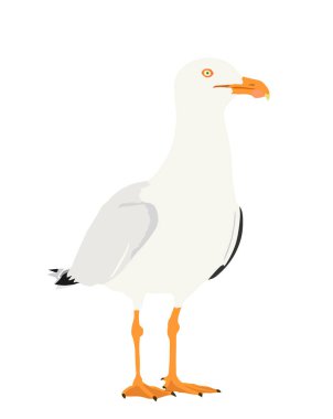 Beyaz arkaplanda izole edilmiş martı vektör silüeti. Deniz ve okyanus kuşu. Deniz kuşu şekli sembolü. Balık avcısı. Martı turist seyahat hatırası maskotu.