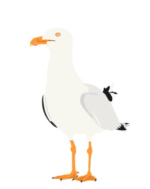 Beyaz arkaplanda izole edilmiş martı vektör silüeti. Deniz ve okyanus kuşu. Deniz kuşu şekli sembolü. Balık avcısı. Martı turist seyahat hatırası maskotu.