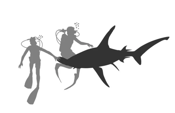 Potápěči Potápění Pozorování Great Hammerhead Žraločí Vektor Silueta Ilustrace Izolované — Stockový vektor