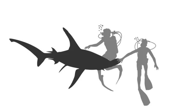 Plongeurs Plongeant Observant Great Hammerhead Requin Vecteur Silhouette Illustration Isolée — Image vectorielle