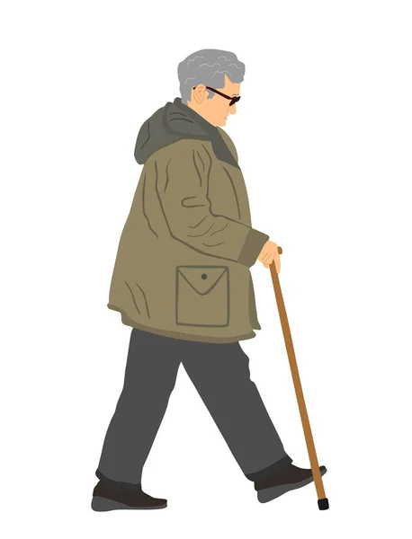 Grandmother Walking Stick Vector Illustration Isolated White Background Old Woman — Stock Vector