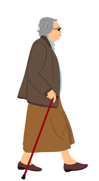 Abuela Caminando Con Ilustración Vectorial Palo Aislado Sobre Fondo Blanco — Archivo Imágenes Vectoriales