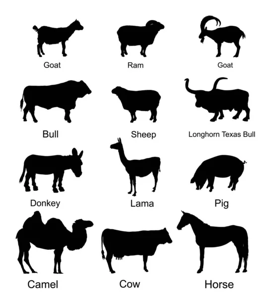 牧场动物采集矢量轮廓图解分离背景 羊羔隐形蹄动物 — 图库矢量图片