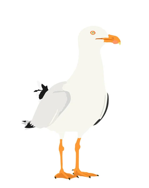 Ilustração Silhueta Vetorial Gaivota Isolada Sobre Fundo Branco Aves Marinhas —  Vetores de Stock