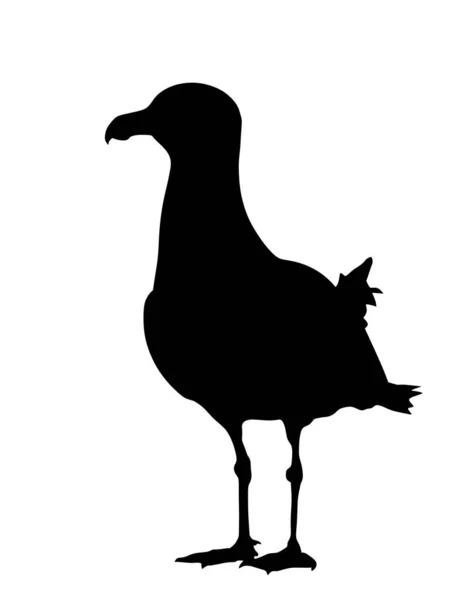 Illustration Silhouette Vectorielle Debout Mouette Isolée Sur Fond Blanc Oiseaux — Image vectorielle
