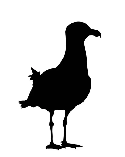 Gabbiano Piedi Silhouette Vettoriale Illustrazione Isolata Sfondo Bianco Uccello Marino — Vettoriale Stock