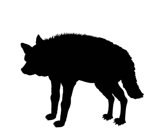 Gestreepte Hyena Vector Silhouet Illustratie Geïsoleerd Witte Achtergrond Afrika Wild — Stockvector