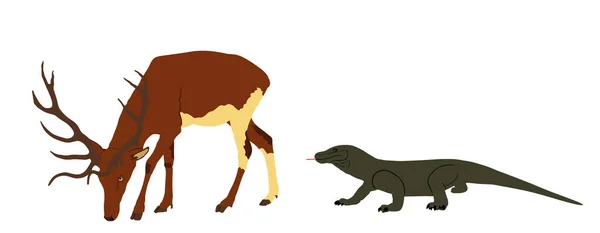 Komodo Drago Caccia Cervo Rosso Maschio Vettoriale Illustrazione Isolato Enormi — Vettoriale Stock
